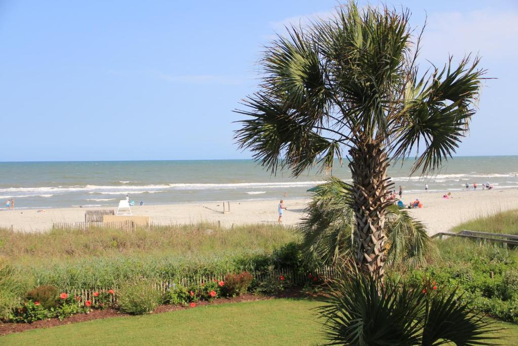 Jade Tree Cove Hotel Myrtle Beach Kültér fotó