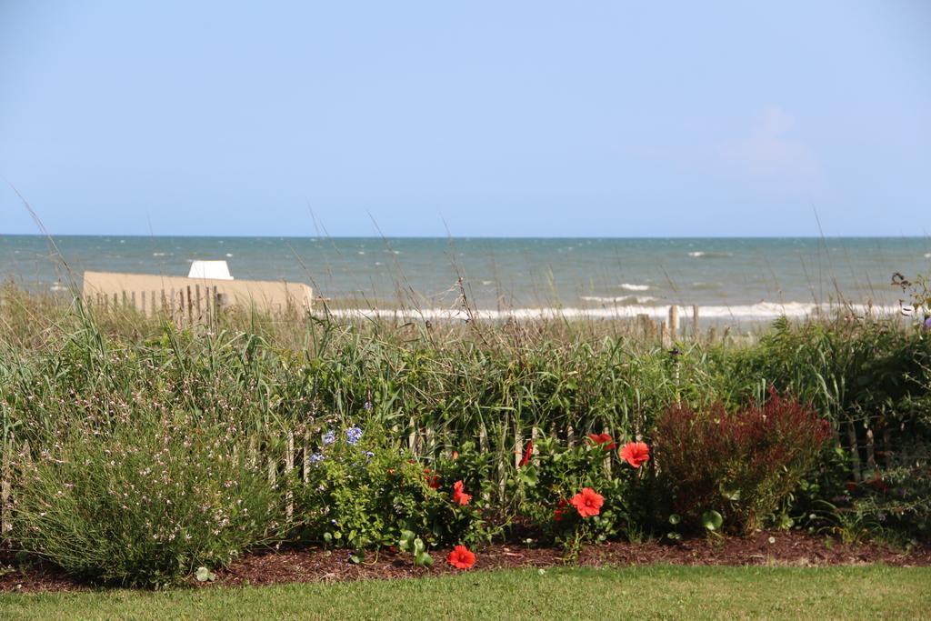 Jade Tree Cove Hotel Myrtle Beach Kültér fotó